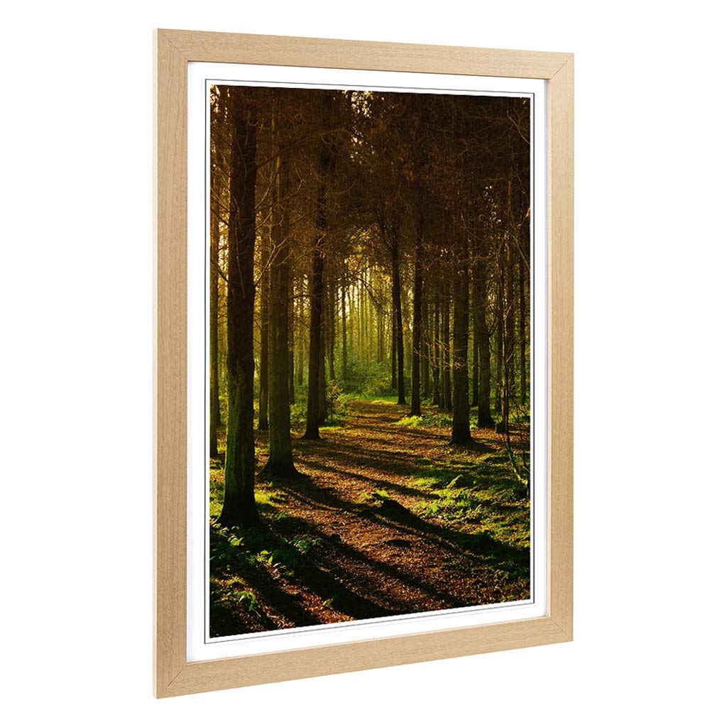 Big Box Art Framed Print of Sunlight Forest Woodland Landscape (1) Design | Wall Art Picture | Home Decor for Kitchen, Living Room, Bedroom, Hallway, Oak, A2 / 24.5x18 Inch / 62x45cm