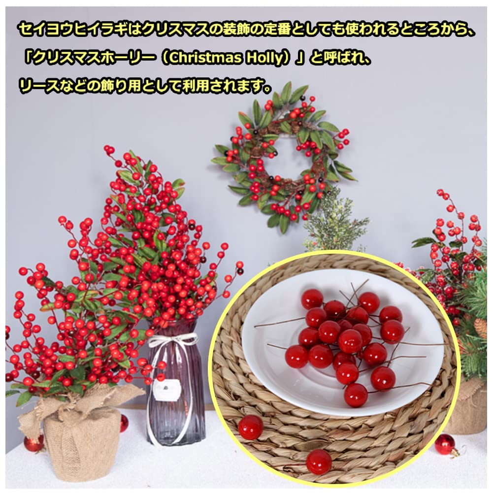 グレビレアと赤いクリスマスリース　サンキライ　野ばらの実　ローゼル グレビレアと赤いクリスマスリース サンキライ 野ばらの実 ローゼル