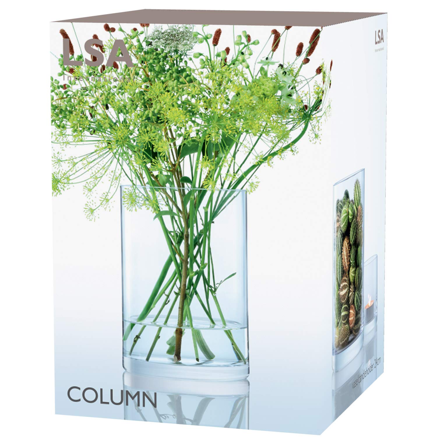 LSA CO28 Column, Vaso/portacandele, 24 x 17 cm (altezza x diametro), Trasparente