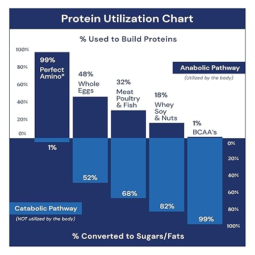 Vista 4 de BodyHealth PerfectAmino Bar Protein Energy Snack con 0.35 oz de proteína, MCT a base de plantas, mezcla de superalimentos, Kosher