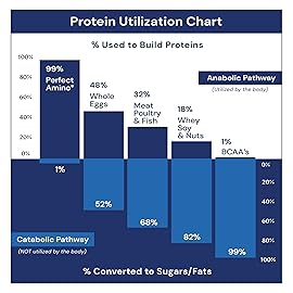 BodyHealth PerfectAmino Easy to Swallow Tablets, Essential Amino Acids Supplement with BCAAs, Vegan Protein for Pre/Post Workout & Muscle Recovery with Lysine, Tryptophan, Leucine (36 Servings)