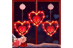 FUNIAO Valentines Window Lights Red Heart