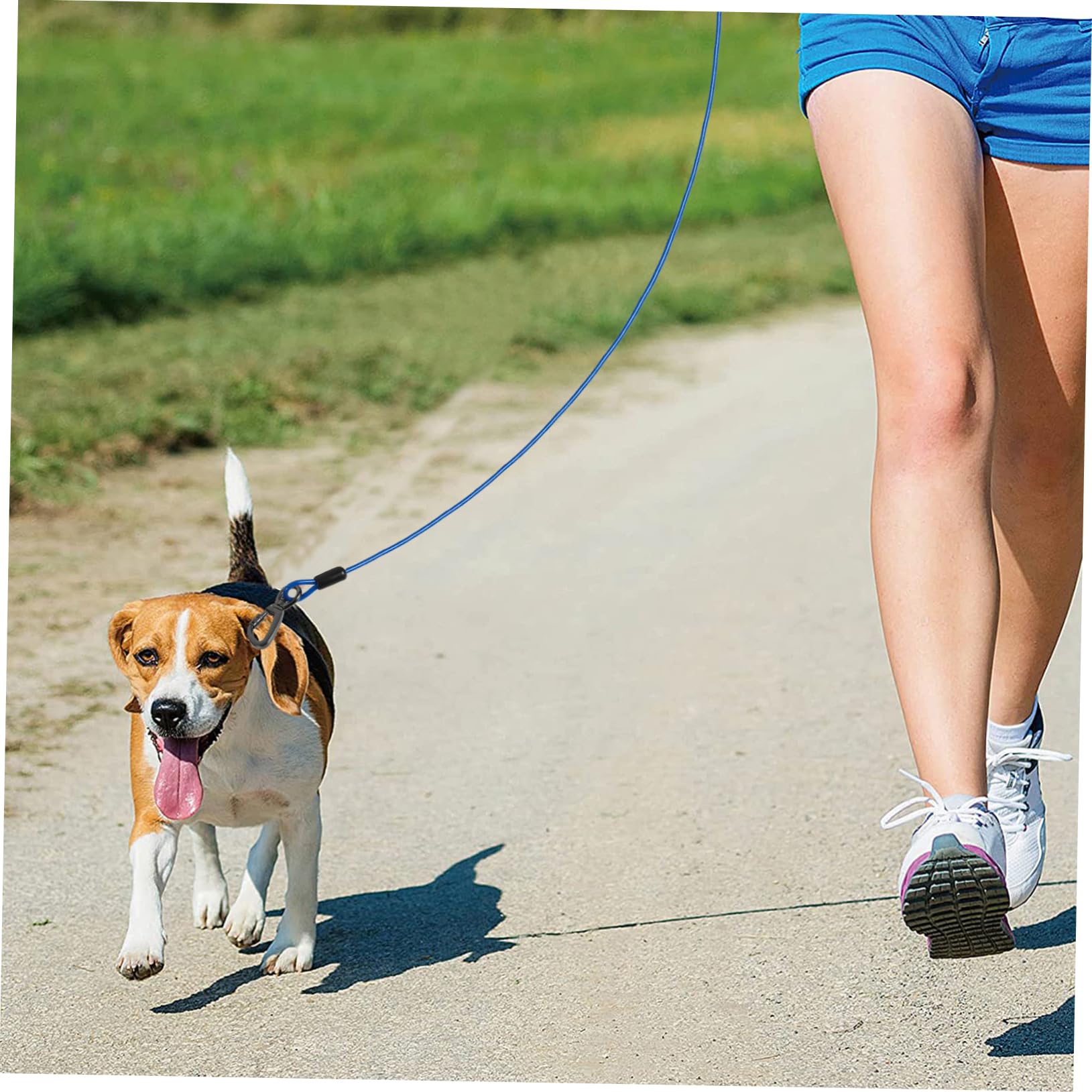 Guinzaglio Addestramento Cane Corda in Filo D'acciaio Blu | Doppio Aggancio in Lega di Zinco, Rivestimento Pvc, Leggero e Delicato sulla Pelle
