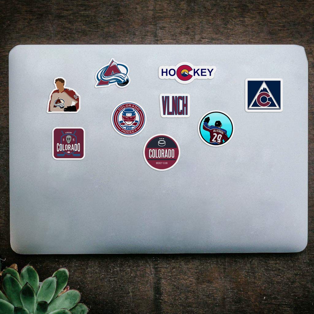 Amazon.com: 30 件組科羅拉多州乙烯基Avalanche 貼紙包科羅拉多州貼花雪崩5.1-7.6 公分: 運動和戶外活動