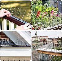 Vista 4 de Paquete de 5 picos de acero inoxidable para pájaros, palomas, ardillas, gatos, clavos de pájaros, cubierta de jardín al aire libre, 4 pies, mantiene