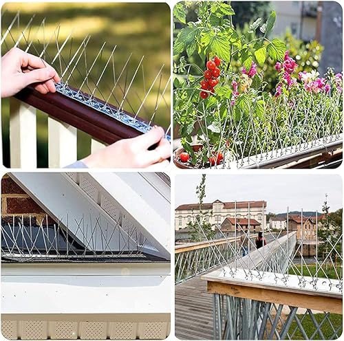 Miniatura 4 de Paquete de 5 picos de acero inoxidable para pájaros, palomas, ardillas, gatos, clavos de pájaros, cubierta de jardín al aire libre, 4 pies, mantiene