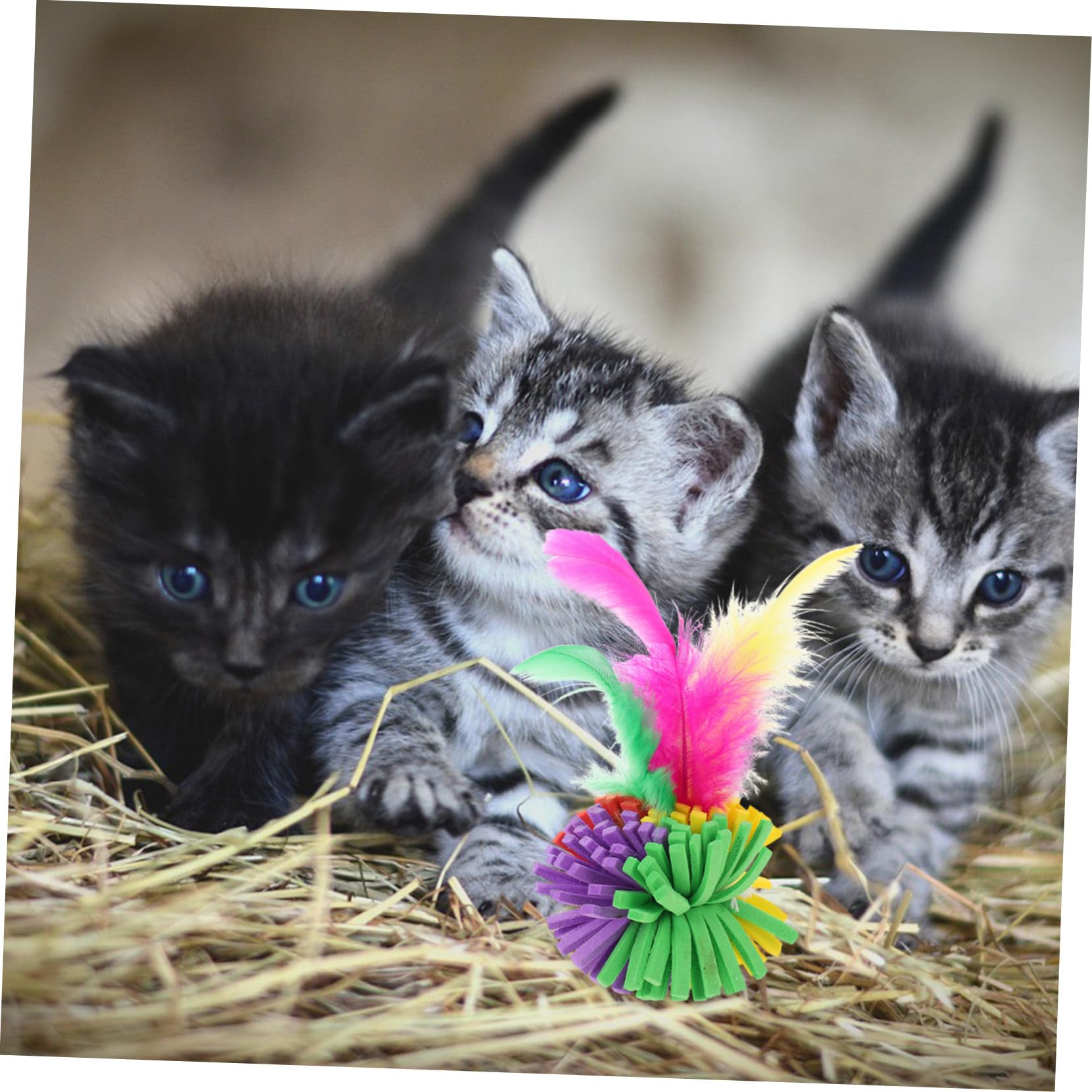 Gatuida Lot de 4 Balles à Griffer pour Chat en EVA Plume, Jouet Interactif pour Chat, pour Intérieur