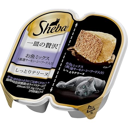 sheba salmon