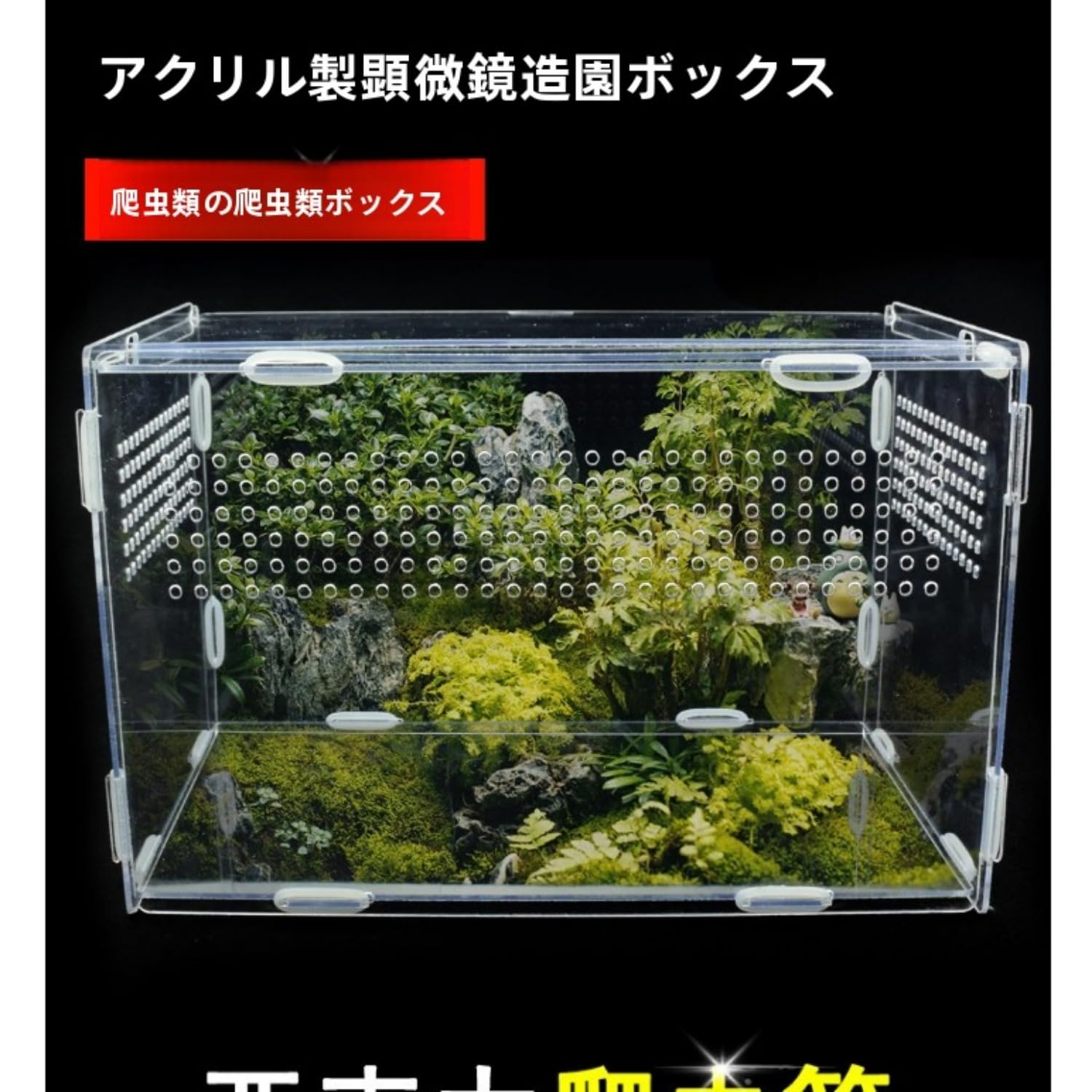 Amazon | 爬虫類用アクリル飼育ケース 爬虫類ペット用 トカゲ飼育