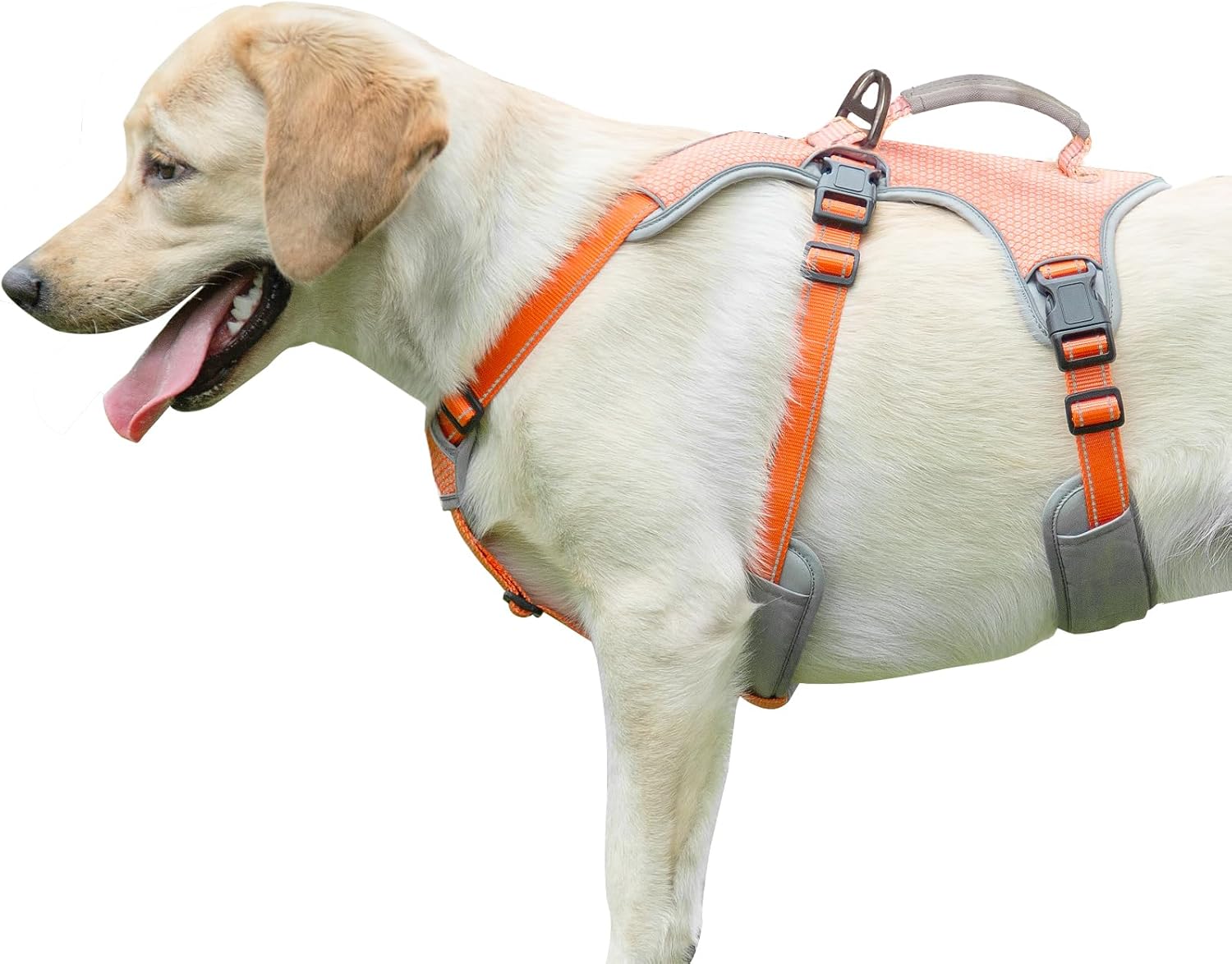 No Escape Dog Harness, Escape Proof Harness, Fully Reflective Harness with Padded Handle, Breathable,Durable, Adjustable Vest for Medium Dogs Walking, Training, and Running Gear (Orange, L) No Escape Dog Harness, Escape Proof Harness, Fully Reflective Harness with Padded Handle, Breathable,Durable, Adjustable Vest for Medium Dogs Walking, Training, and Running Gear (Orange, L)