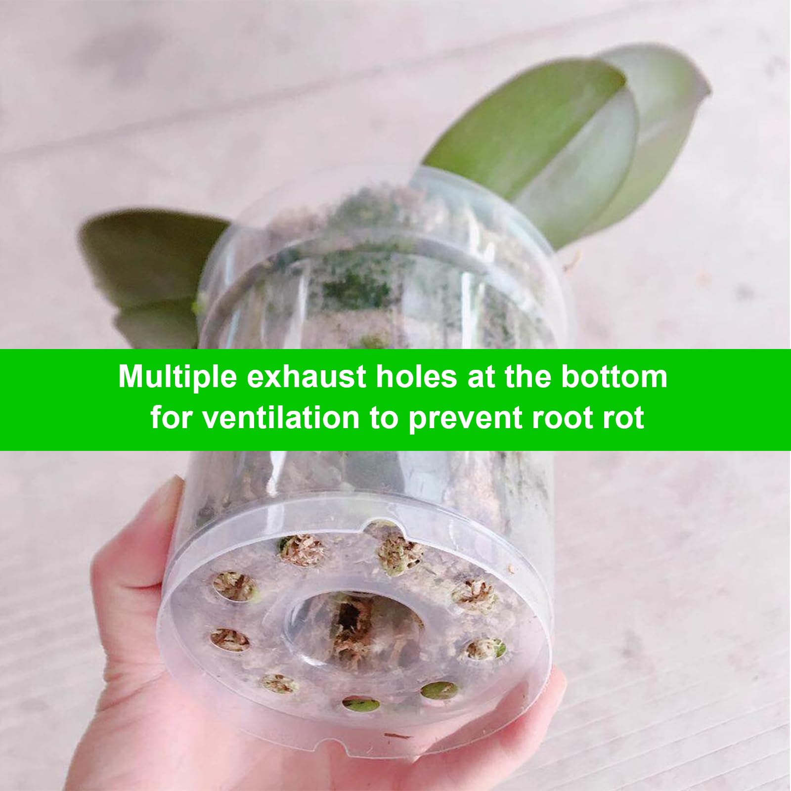 Vaso Per Orchidea Trasparente Ø13cm Con Sottovaso – Ideale Per La Salute Delle Radici