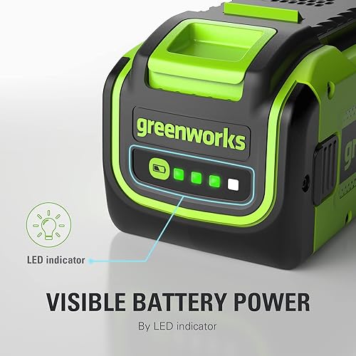 Vista 66 de GreenWorks GREENWORKS 40V 2.0 AH batería de iones de litio 29462