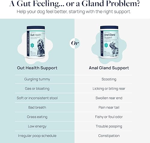 Miniatura 4 de Veterinary Formula Suplemento de salud intestinal para perros - Masticables probióticos formulados por veterinarios con enzimas digestivas y fibra -