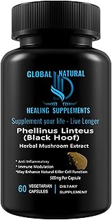 Phellinus Linteus Black Hoof Mushroom Extract (Mesima), 60 Vegetarian Capsules, 1000mg Per Serving
