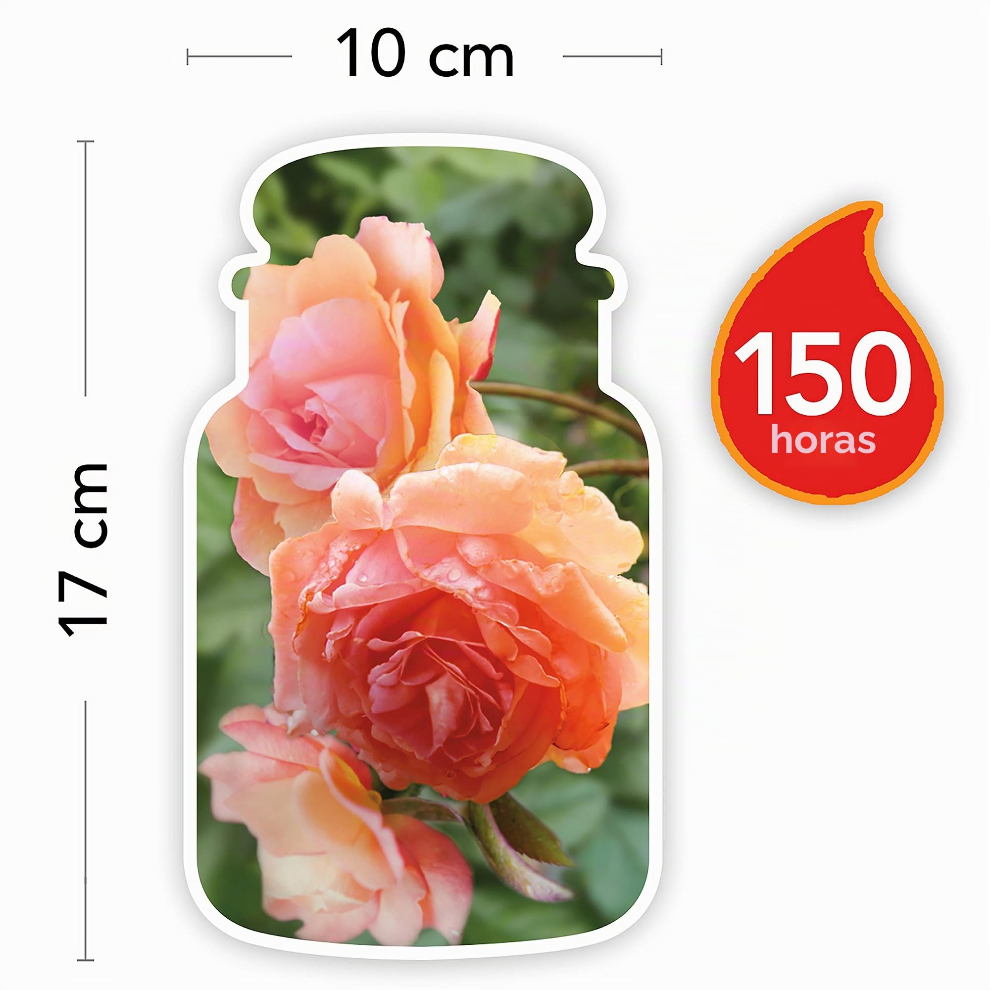 Yankee Candle vela aromática en tarro grande, rosa de albaricoque bañada por el sol, duración de combustión de hasta 150 horas
