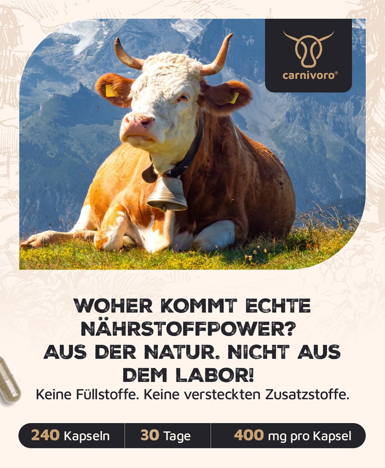 Carnivoro Goddess mit Austern & Kollagen - Frauen Komplex - 30 Tage Packung - Superfood - Natürliches Eisen, Zink, Vitamin A, Vitamin B12, B2, B3, B5, Folat, Kupfer - Keto - Paleo