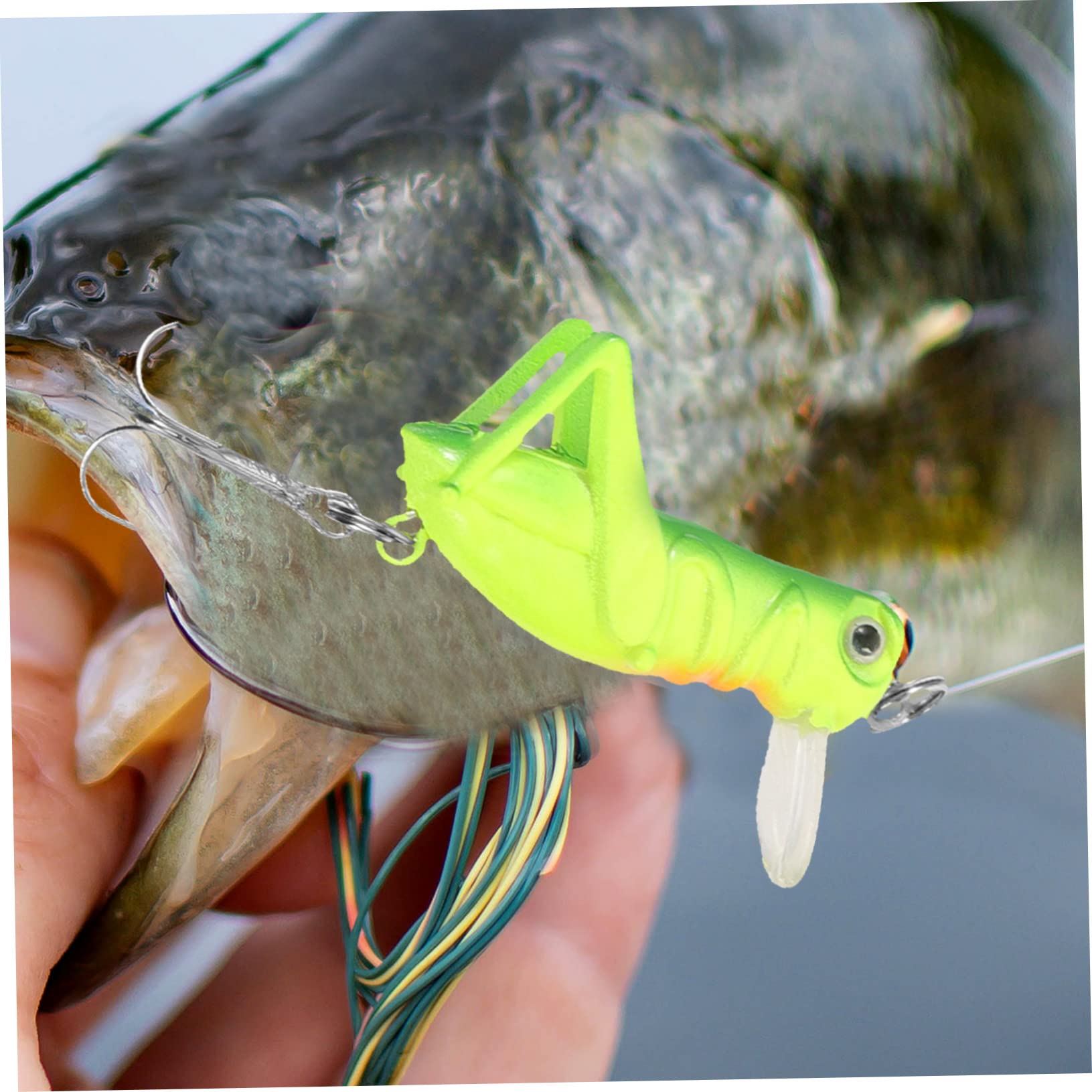 Toyvian Esca Simulata della Cava di Cavalletta Imitazioni di Esche da Pesca Attrezzatura Esca per Pescare La Pesca del Richiamo Esca per Pesci di Simulazione Metallo