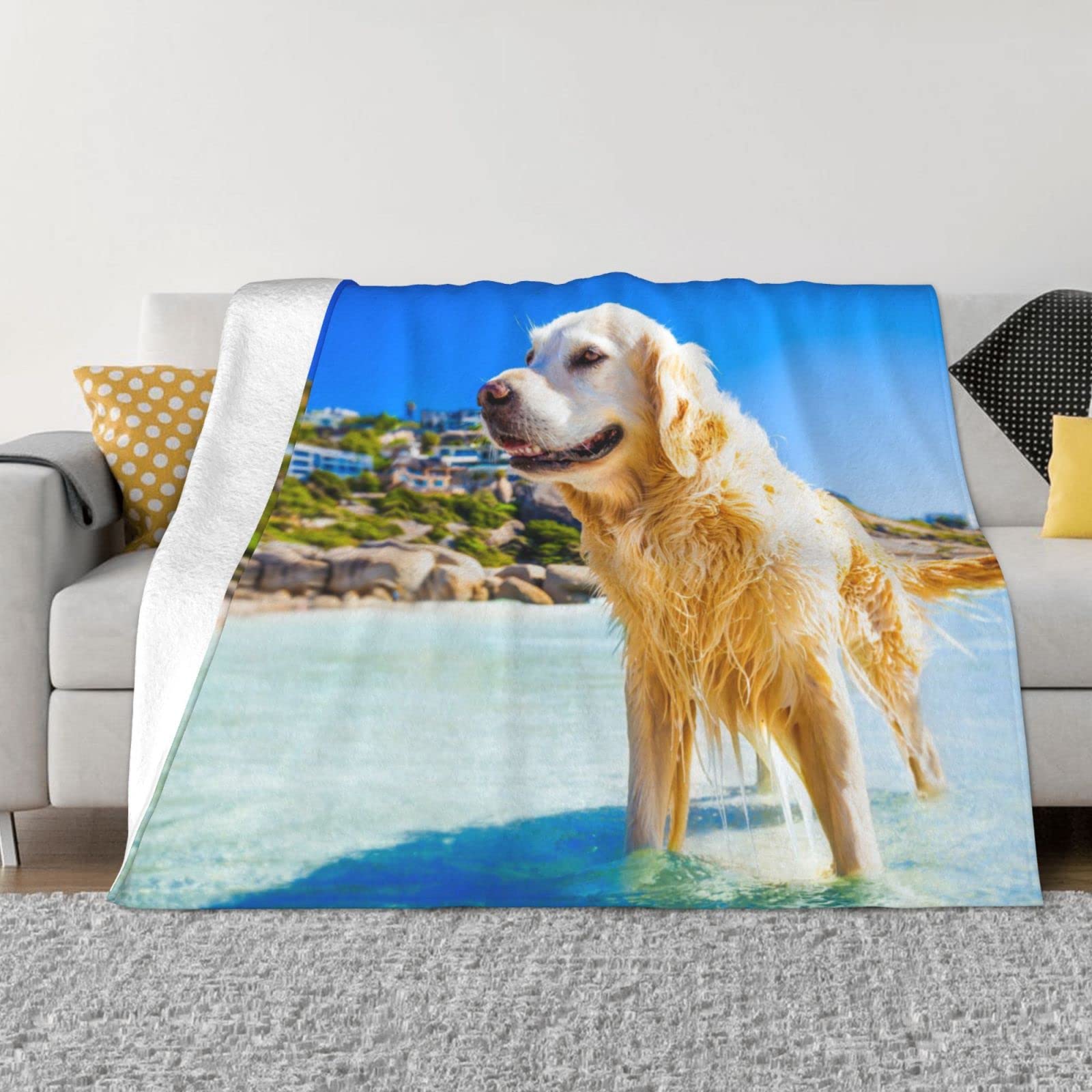 Couverture Golden Retriever extérieure et intérieure pour canapé
