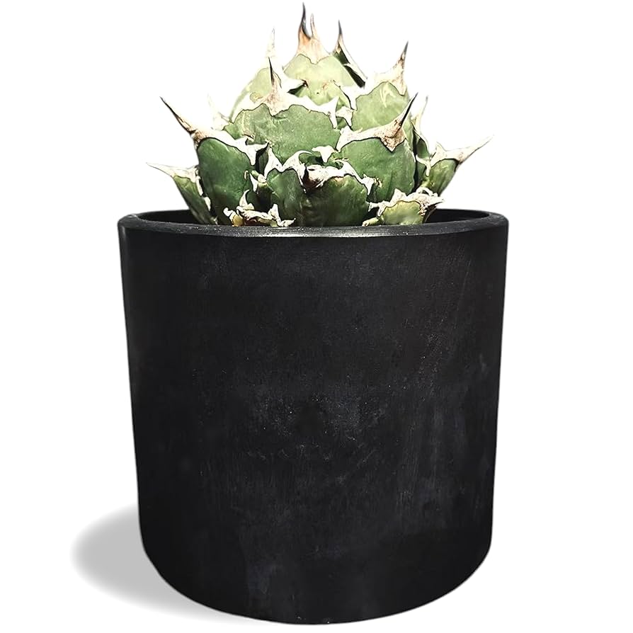 Amazon.co.jp: SHADOW POT 円柱 植物鉢 ブラック (内径14cm