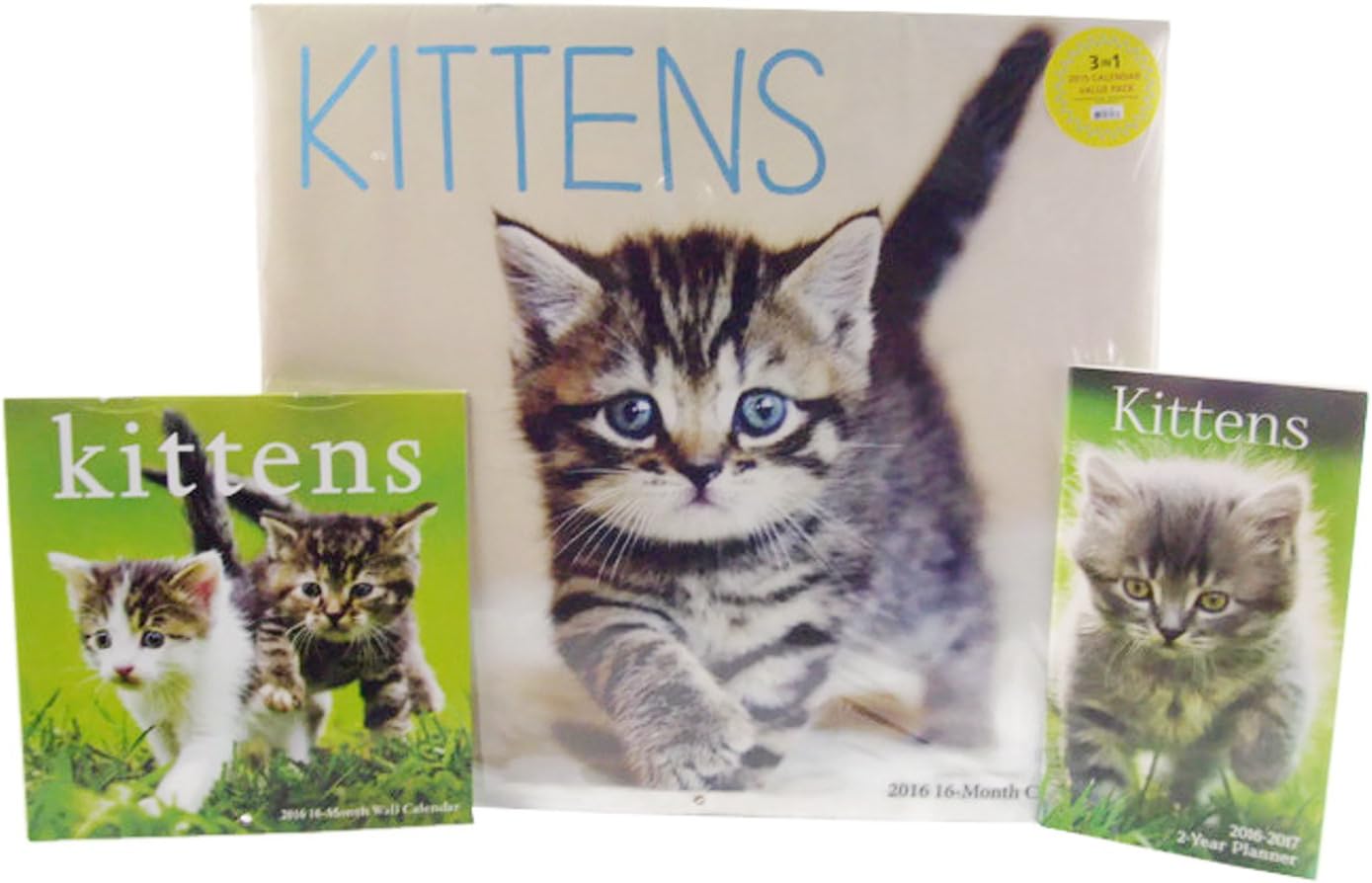 2016 Cute Kittens 16 Month Calendar/Planner Gift Set (Pack)