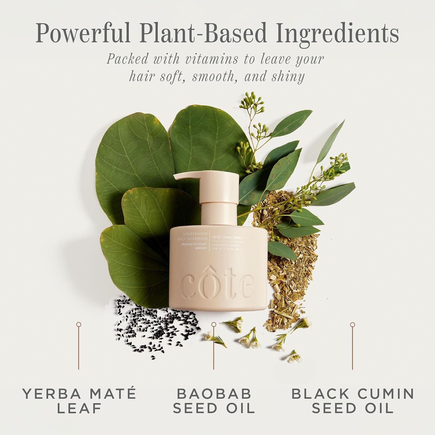 Cote Beauty’s Nourishing Daily Shampoo for Dry Hair, Deep Cleansing & Hydrating Formula, Prevents Breakage, Cruelty-Free Hair Shampoo for Women, Enriched with Yerba Maté & Baobab Extract, 10 FL Oz - Image 4