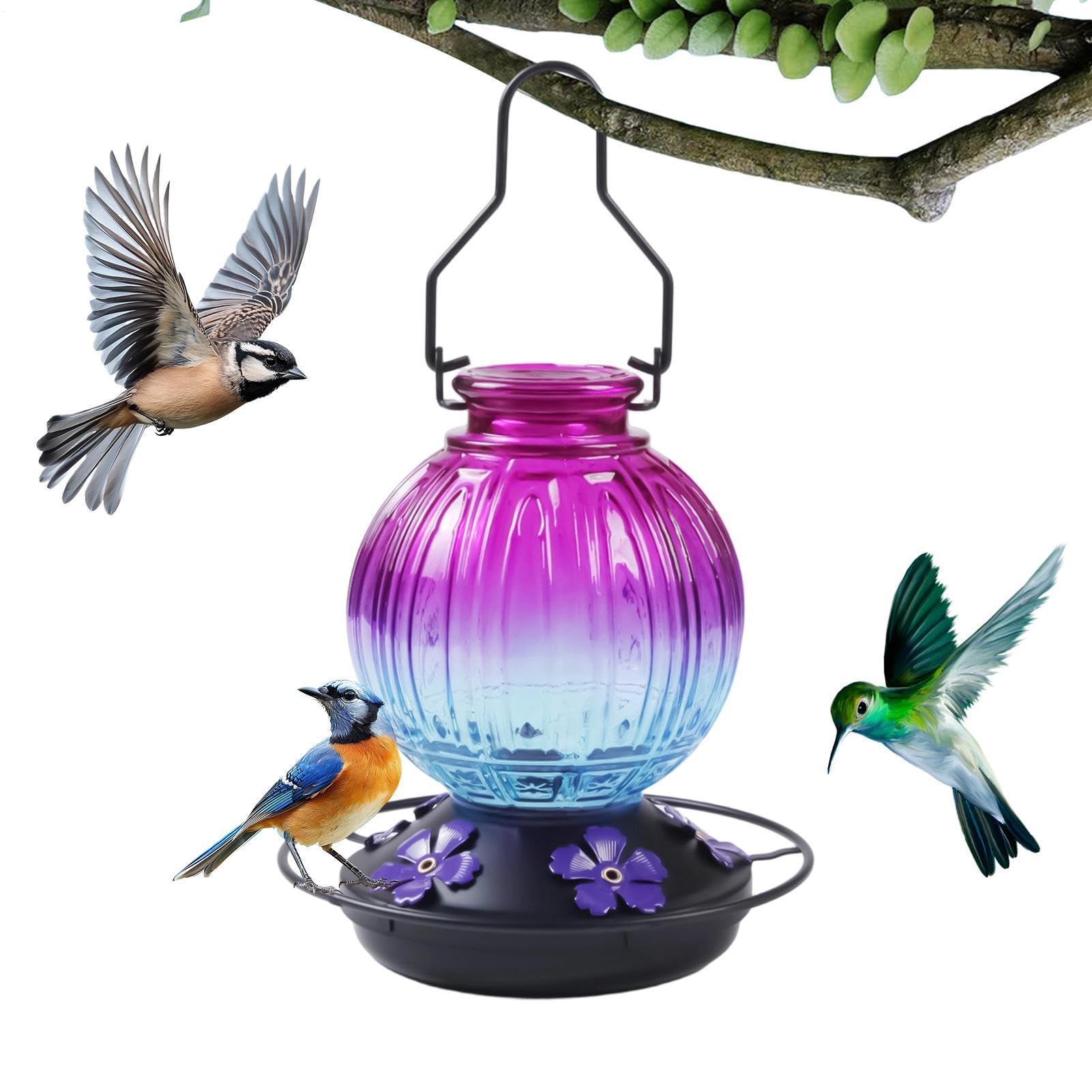Mangeoire à oiseaux avec crochet et 5 ports de nourrissage pour colibris