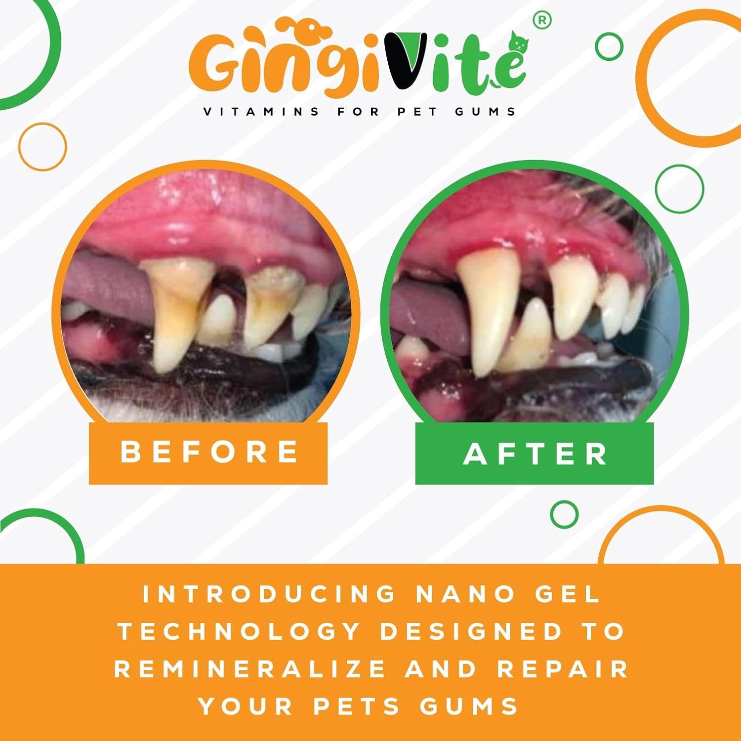 Dog Gingivitis Treatment, Stomatitis Treatment for Cats, Pet Gum Disease Treatment, Bad Breath Treatment, Oral Health for Teeth, Gums, Mouth and Tartar