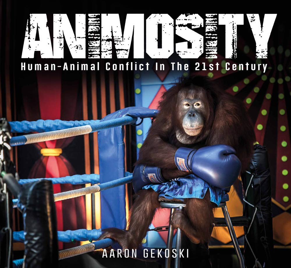 Animosity : Animal Conflict in the 21st Century by Aaron Gekoski (2021, ...
