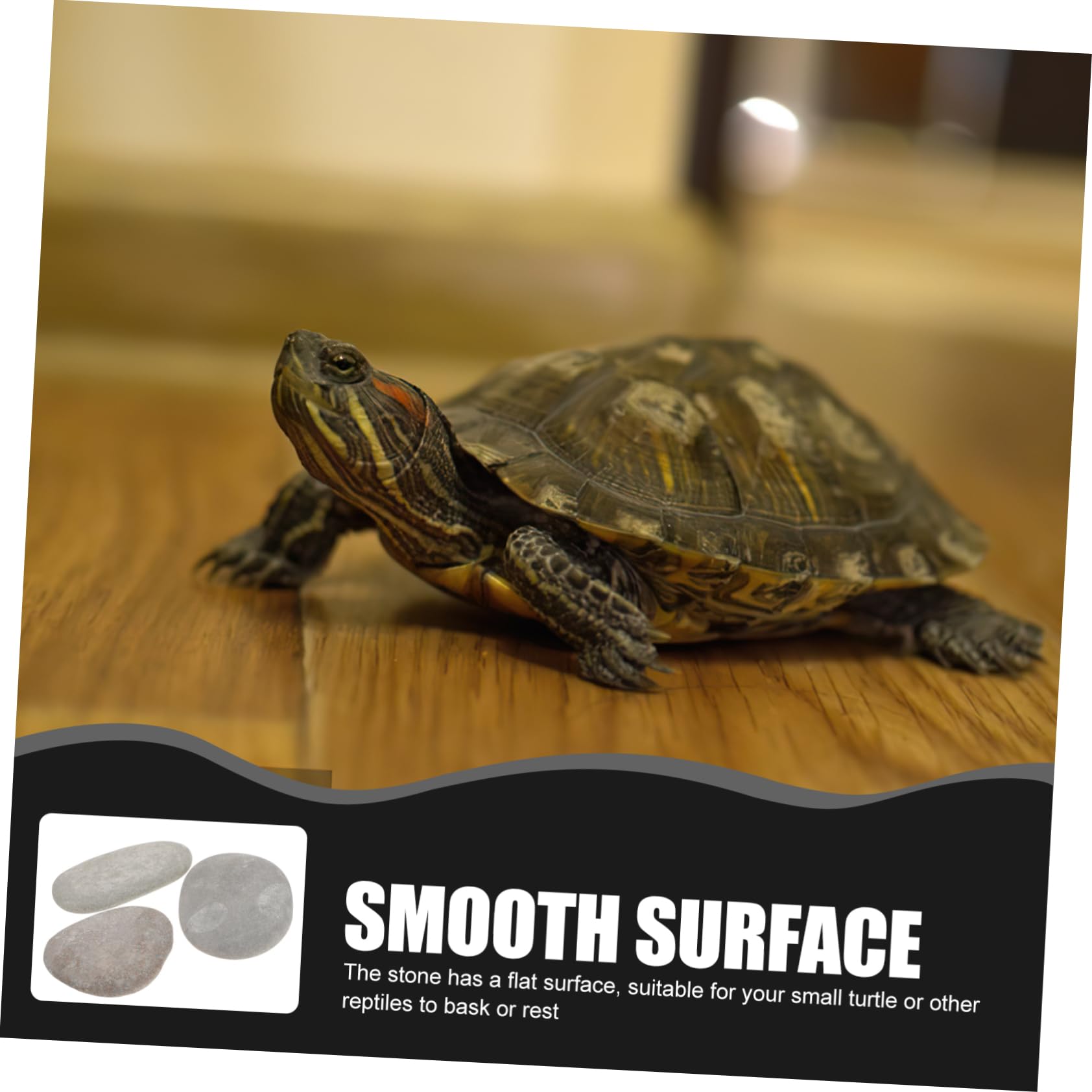Sichere Terrariensteine für Reptilienhabitate und Aquarium Dekoration Sonnensteine 3 Stück mit Flacher Oberfläche aus Natürlichem Stein Zufällige Farbe für Schildkröten