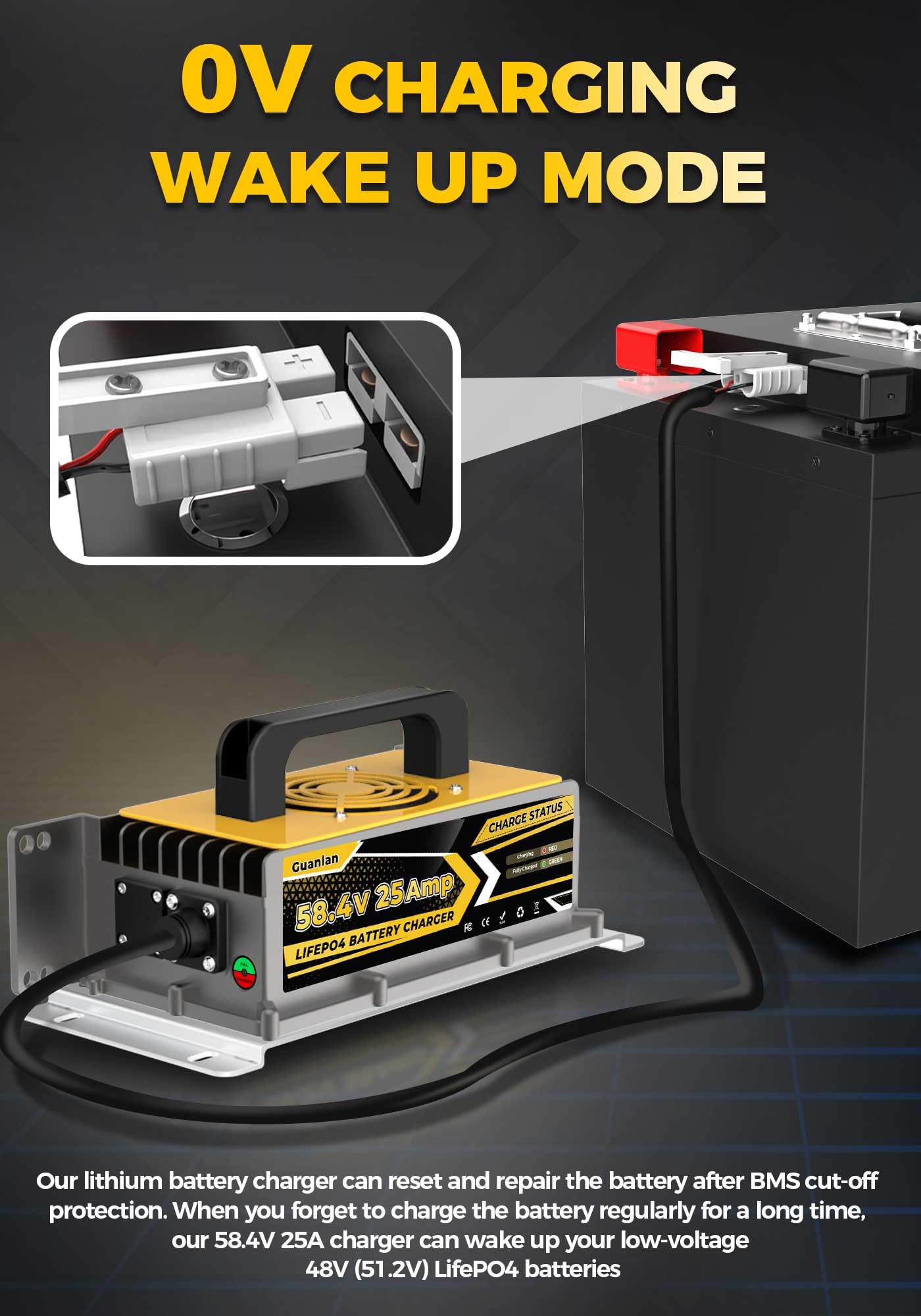 58,4V 25A Cargador de Batería Litio para 48V (51.2V) LiFePO4 Baterías, 48V Cargador de Batería LiFePO4 para Autocaravanas, Barcos, Vehículos Marinos y Sistemas Solar