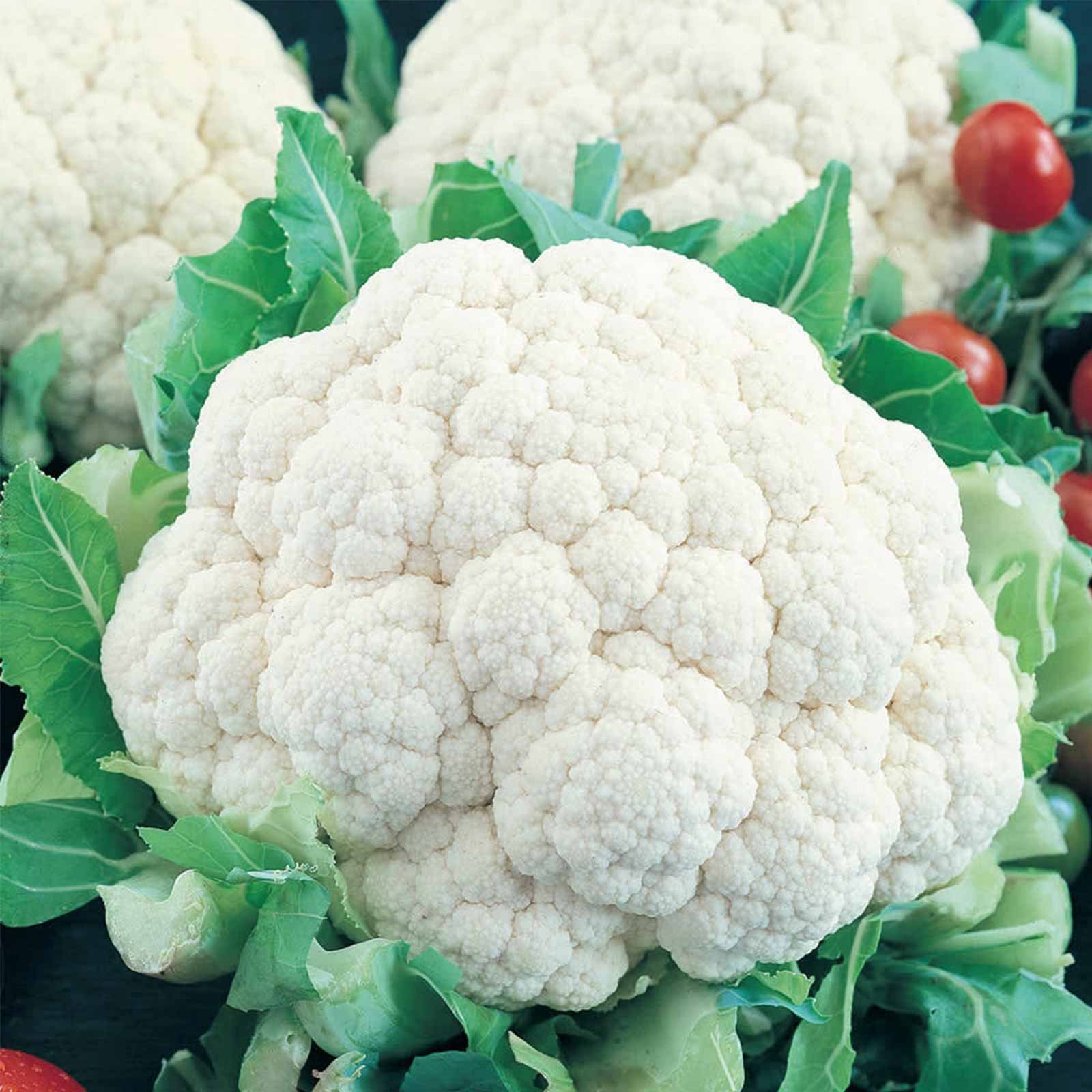Snowball Y Improved Cauliflower Seeds: 1 Oz - Vegetable Garden & Microgreens Seed - Non-GMO, Heirloom, Chemical Free, Indoor Gardening