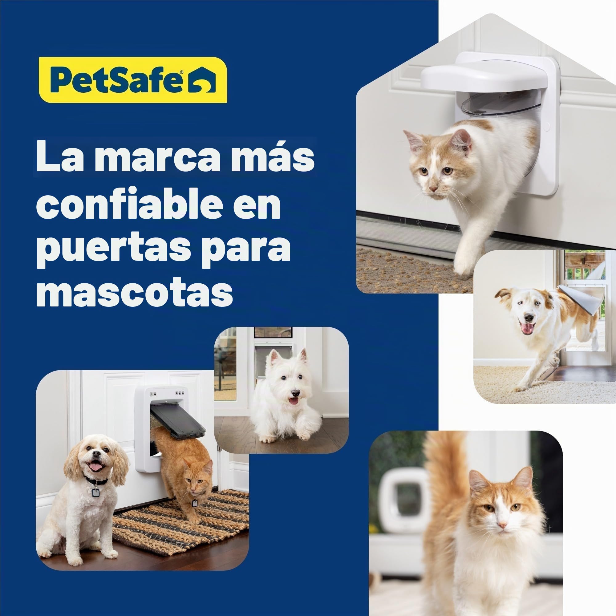 PetSafe Petporte - Gatera con Microchip, Puerta Inteligente para Gatos con Microchip, Acceso Selectivo - hasta 7kg