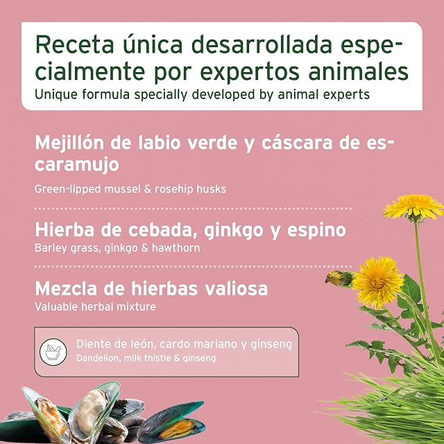Foto 4 de 7 de AniForte Senior Active en Polvo 250 g para Perros Mayores