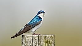 Review Image by John F. John F.