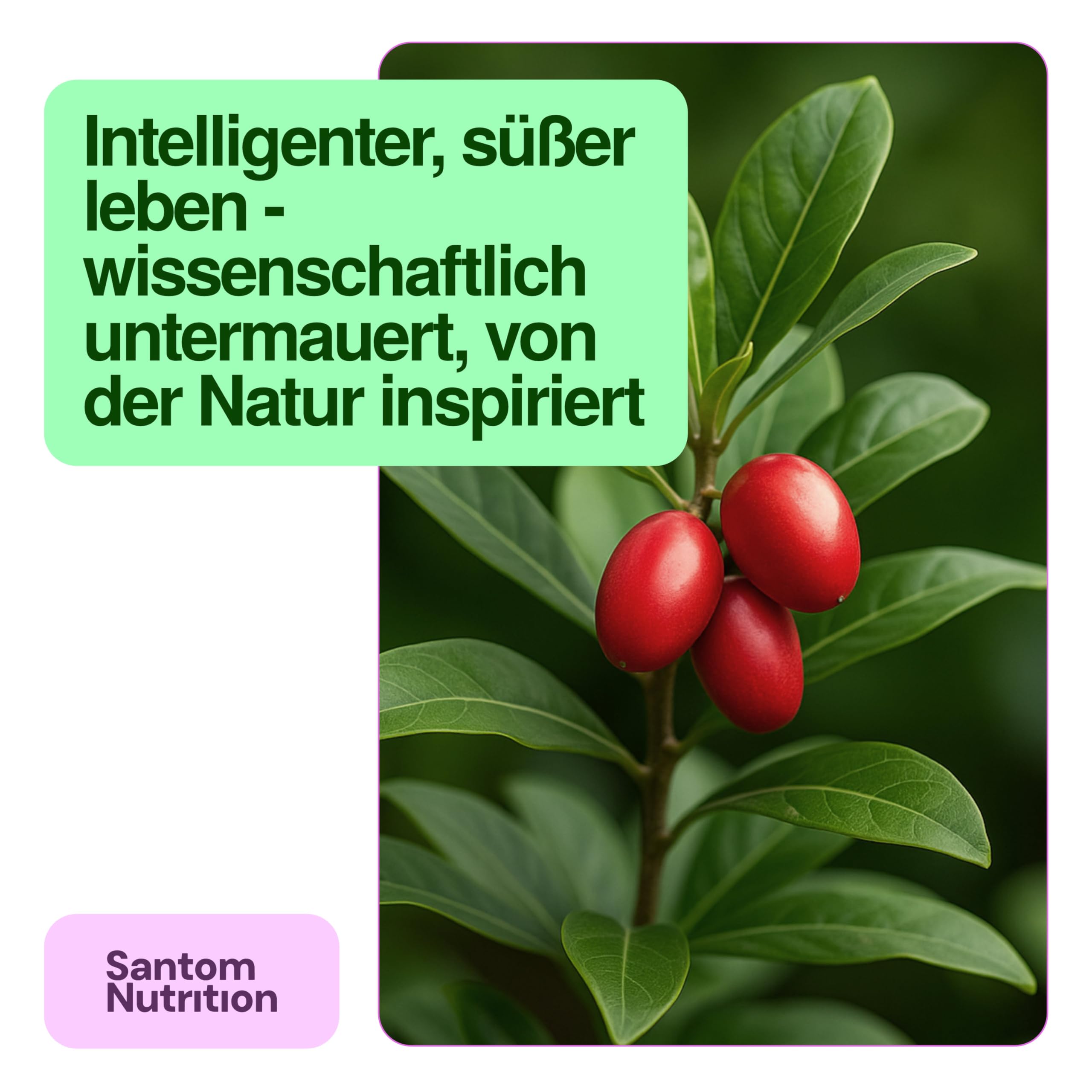 TasteCare Miracle Berry Tabletten | 30 Stück | Macht Saures Süß in Sekunden | Wirkung bis 1 Stunde | Miraculin Tabletten aus Wunderbeere | Zuckerfreie Süßigkeiten | Hergestellt in der EU