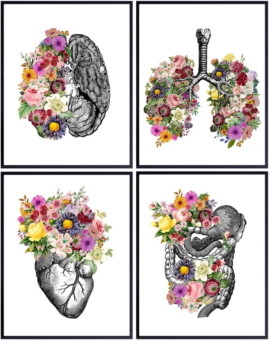 - Original Flower Organs Wall Art Print Poster Set - Unique Steampunk Anatomy Home Decor for Dr Office - Gift for Doctor, Physician, Nurse, PA - 8x10 Unframed Photos - Heart, Lungs, Brain, Intestines