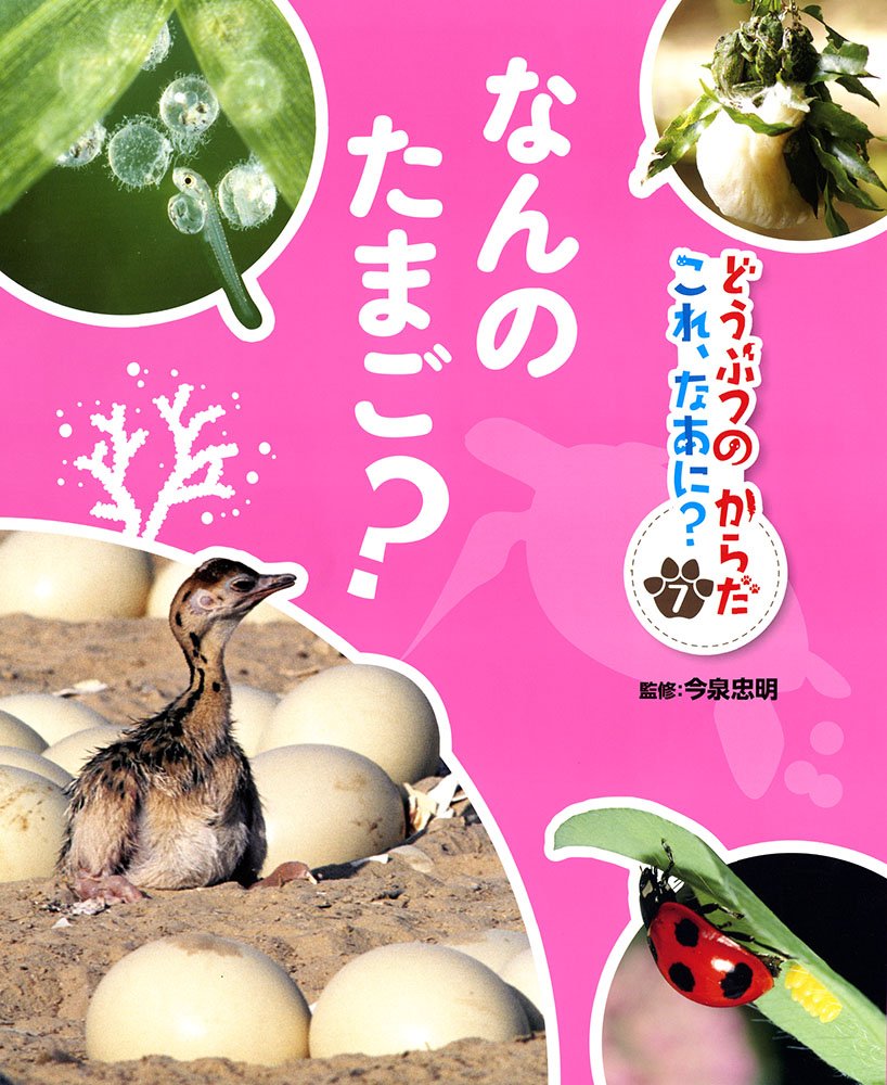Amazon.co.jp: なんの たまご? : 今泉 忠明: Japanese Books