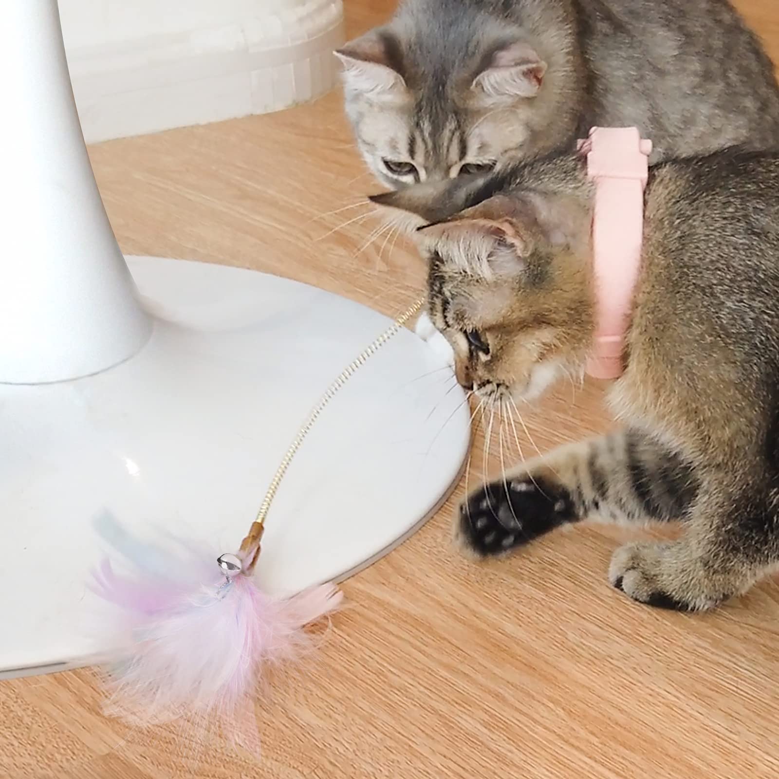 Aumuca Interactive Cat Feather Toys - Kitten Toys for Indoor Cats - TikTok Cat  Toys with Collar - Cat Wand Toy Having Fun Exerciser Playing: Buy Online at  Best Price in UAE - Amazon.ae