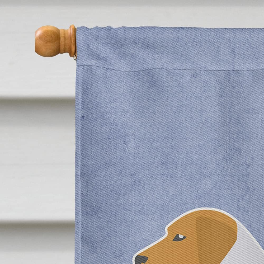 Caroline's Treasures BB5502CHF American Foxhound Welcome House Flag Large Porch Sleeve Pole Decorative Outside Yard Banner Artwork Wall Hanging, Polyester, House Size, Multicolor