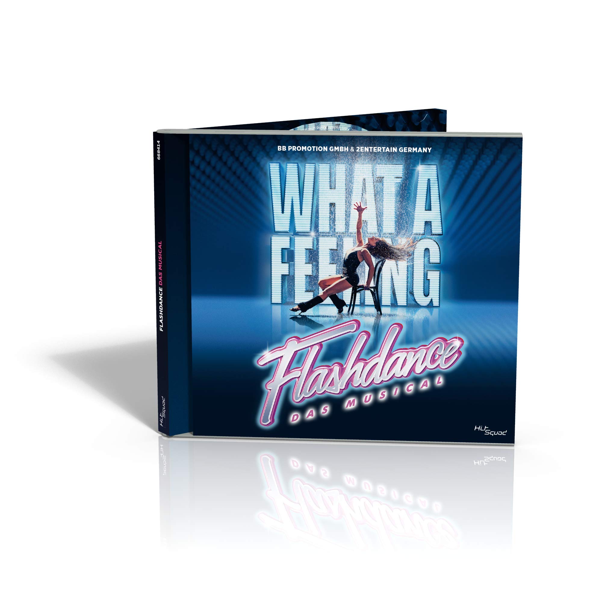 Flashdance-das Musical