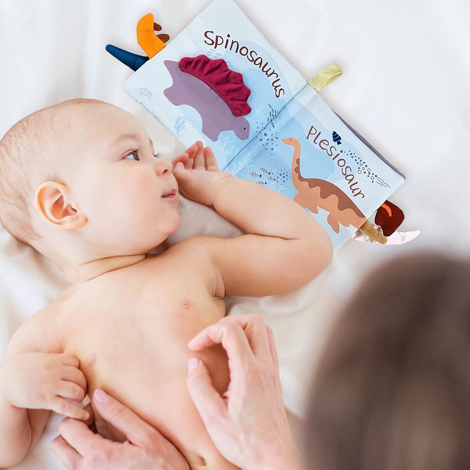 Fandina Baby Book Cloth Books, Early Education Learning Fabric Book for Infant 6-12 Moths, Toddlers Quite Book Newborn Baby Dinosaur Book With Rustling Sound, Gift For Baby Children's car Hanging Toys : Baby