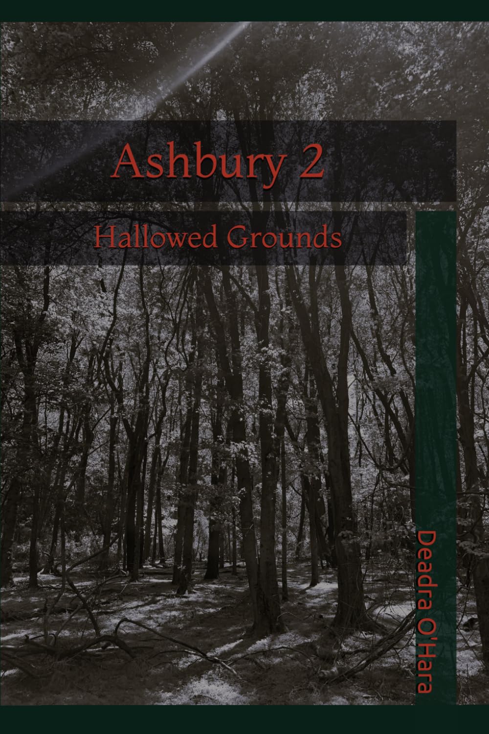 Ashbury 2: Hallowed Grounds