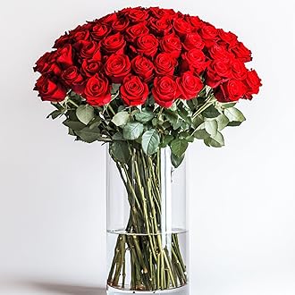 GlobalRose Real Fresh Cut Red Roses - 50 (2 Bundles of 25) Fresh Flowers - Fresh Flowers Bouquet for Wedding