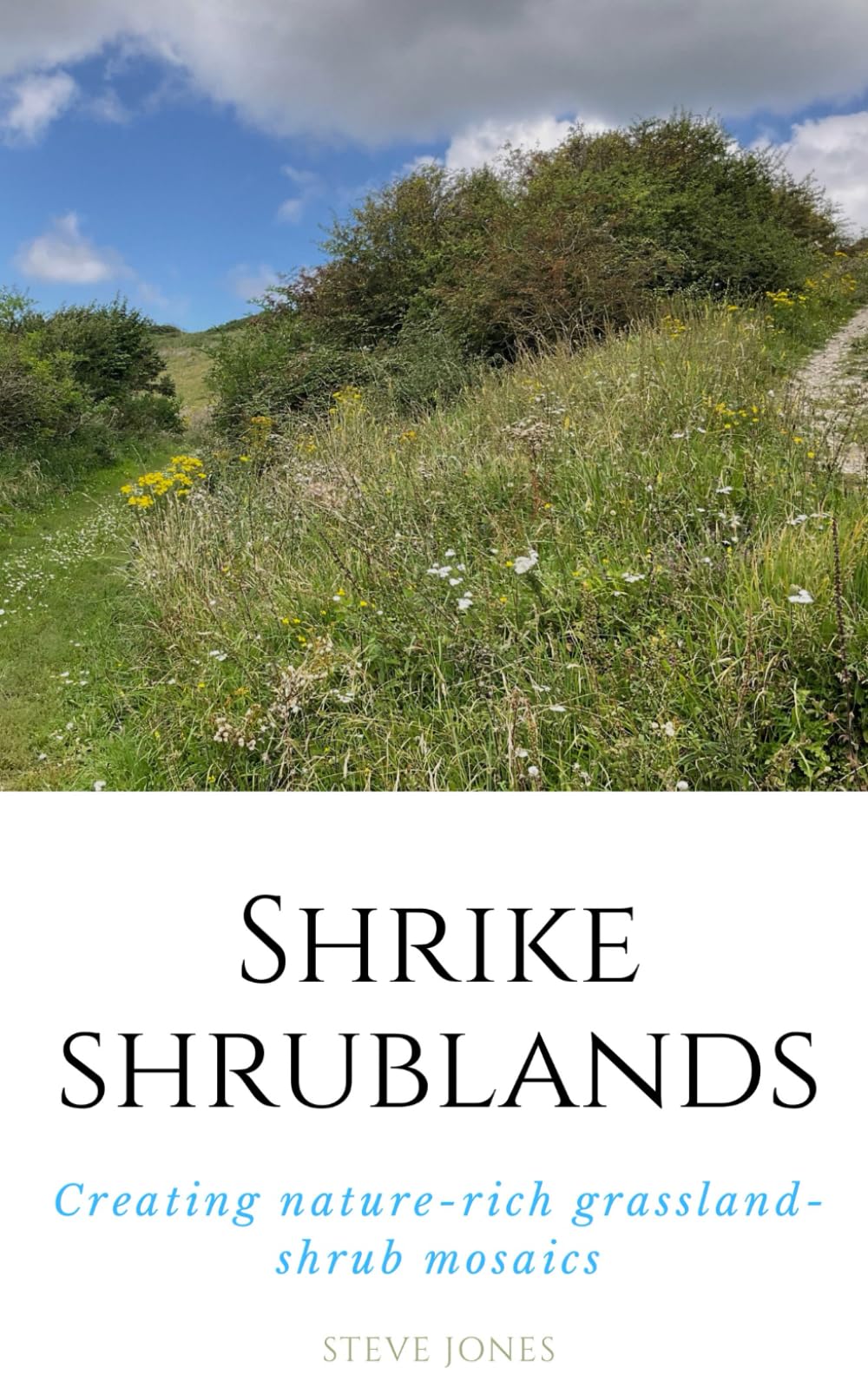 Creating Shrike Shrublands: Why and how we should create new species-rich grassland-shrubland mosaics