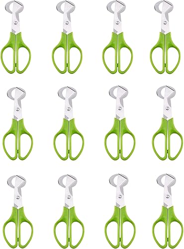 MIAO JIN 12 tijeras de huevo de acero inoxidable para pájaros, cortadores de cáscara de huevo de codorniz, separador, tijeras de huevo de codorniz,