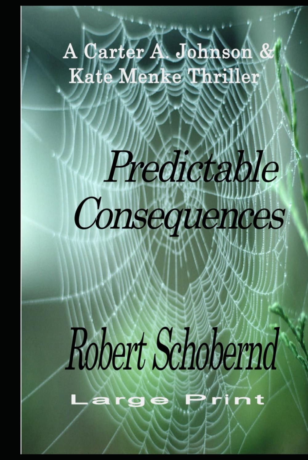 Predictable Consequences: A Carter A. Johnson and Kate Menke crime thriller (Carter A. Johnson & Kate Menke Thrillers)