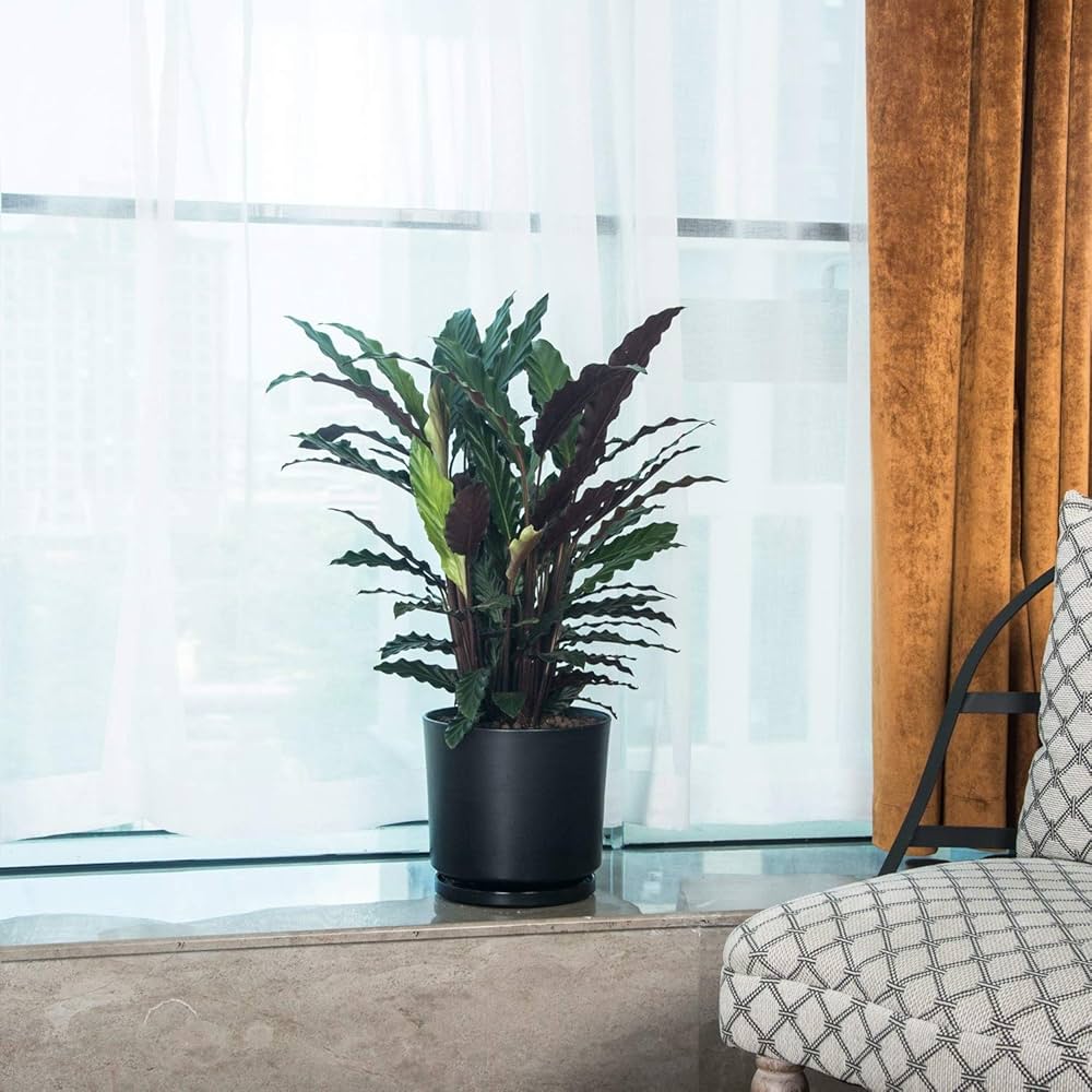 Amazon.co.jp: Ekirlin 植木鉢 陶器鉢 9号 23cm おしゃれ 受け皿