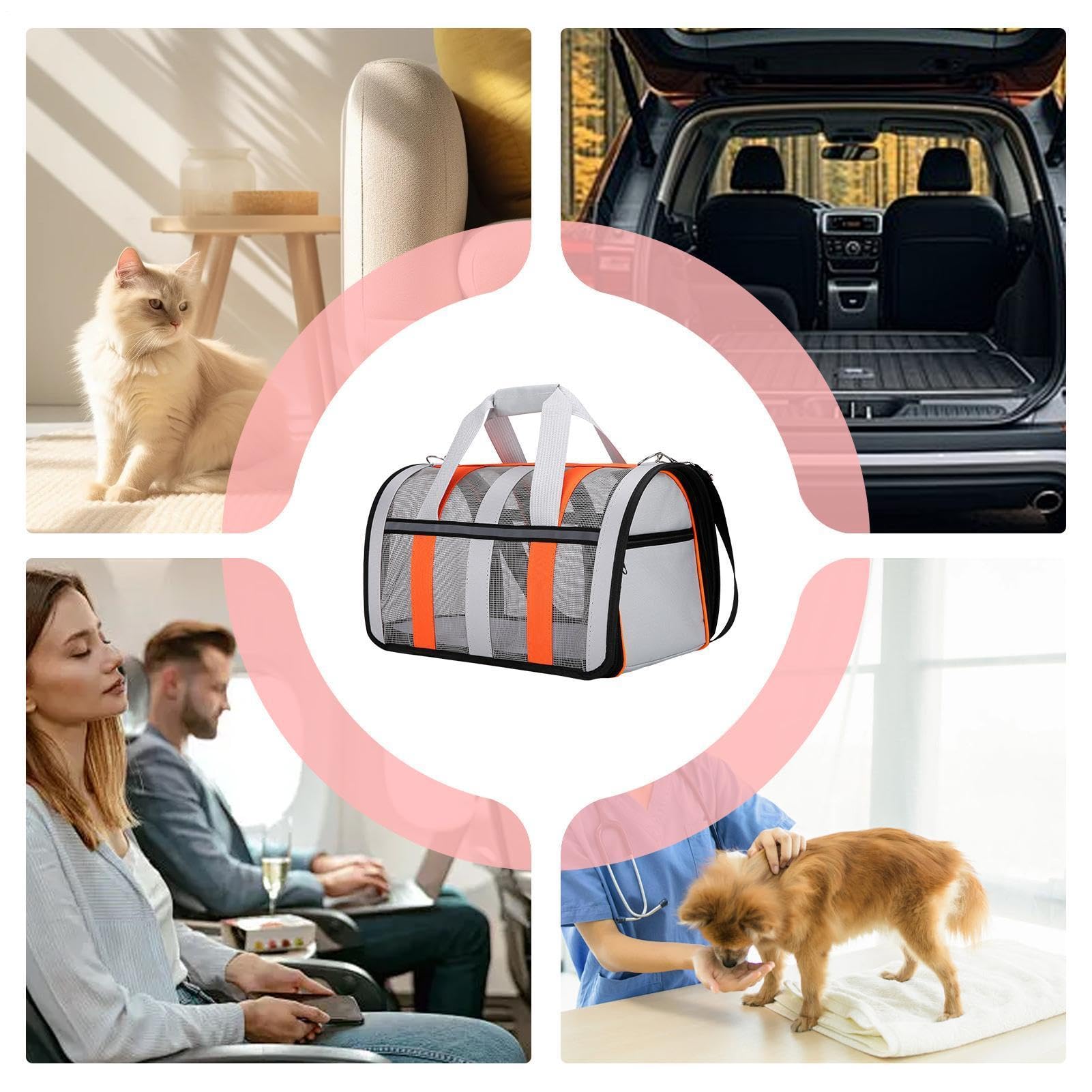 Borsa per animali pieghevole, trasportino portatile per animali Borsa da