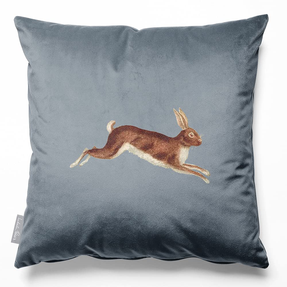 Izabela Peters Hare - French Grey Velvet Cushions - Eco-Friendly, 45 Cm, Chair & Sofa Cushions