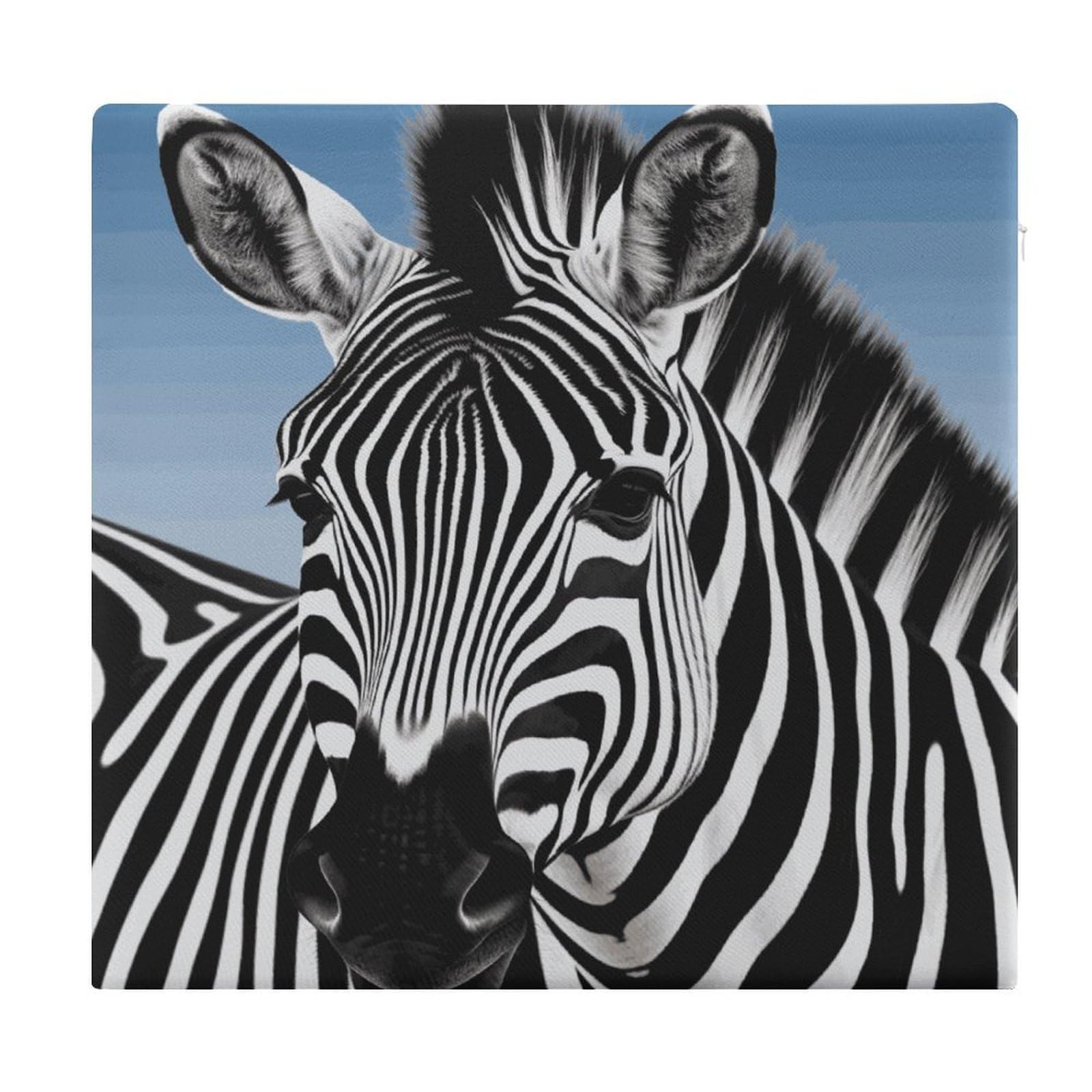 FekiLoot Zebra Seat Cushion for Dining Chairs Breathable Square Chair Pads Memory Foam Chair Cushions Comfortable Non-Slip Seat Pad Meditation Floor Pillow 13.8”x15”